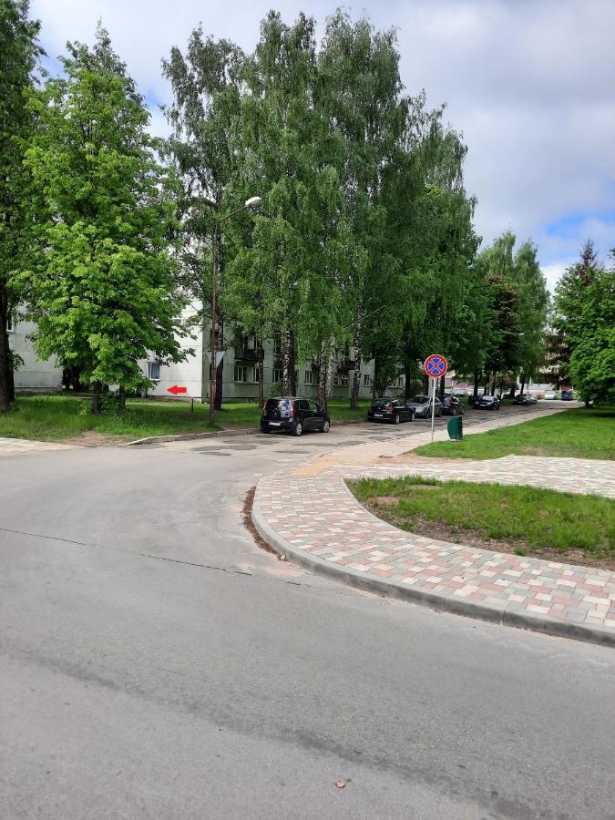Luena Apartamento Jelgava Exterior foto